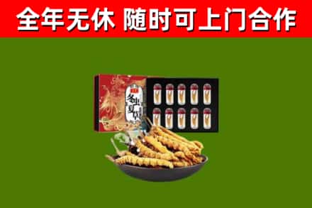 秀屿区烟酒回收冬虫夏草礼盒.jpg