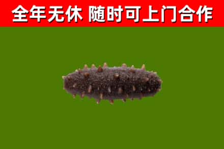 秀屿区烟酒回收干海参.jpg